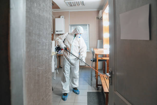 Best Post-Construction Mold Inspection  in Bayside Gardens, OR