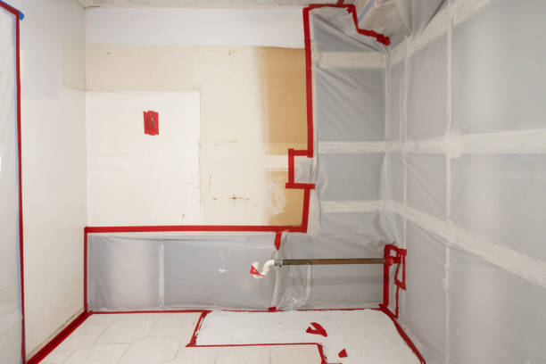 Best Emergency Mold Remediation  in Bayside Gardens, OR