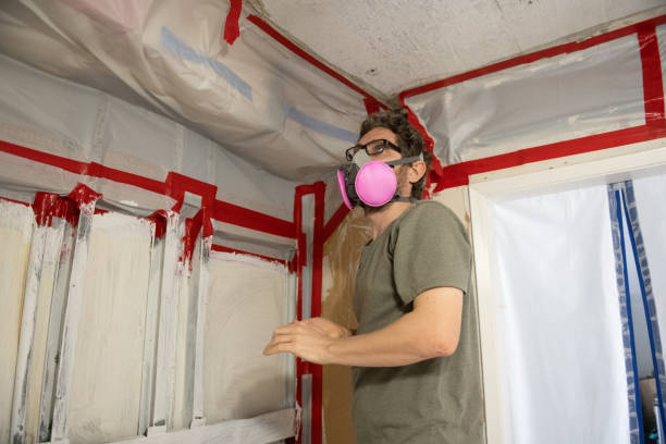 Best Mold Damage Restoration  in Bayside Gardens, OR